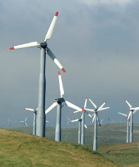 wind220x240