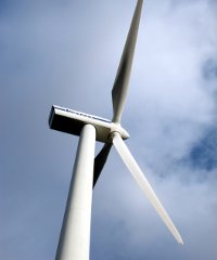 wind200x240
