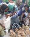 Africa’s overlapping trade blocs trigger illegal trade traders200x240