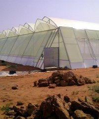 greenhouse_200x240