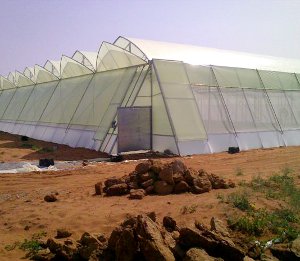 Greenhouses protect crops from too much heat or cold, shield plants from dust storms and blizzards, and help to keep out pests.
