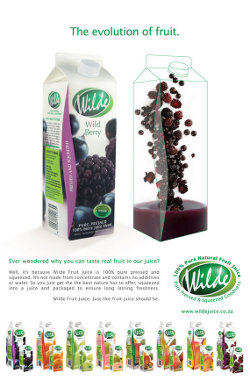 One Wilde's recent advertisement campaigns. One Wilde's recent advertisement campaigns.