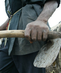 farming_nigeria200x240