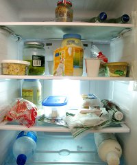fridge200x240
