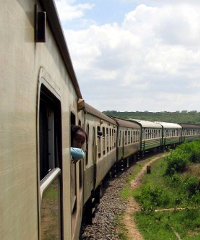 train