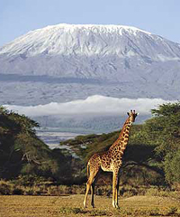 Mount Kilimanjaro
