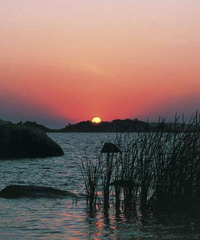 Lake Victoria is the largest lake in Africa