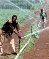 Africa’s agricultural market could triple if farmers were able to tap into middle-class demand farm200x240
