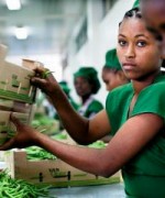 Women in low-paid, manual jobs form the ‘invisible’ backbone of major industries and big business.