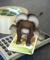 South African grocer using Pokémon Go-style app to lure customers Super animal PnP 200x240