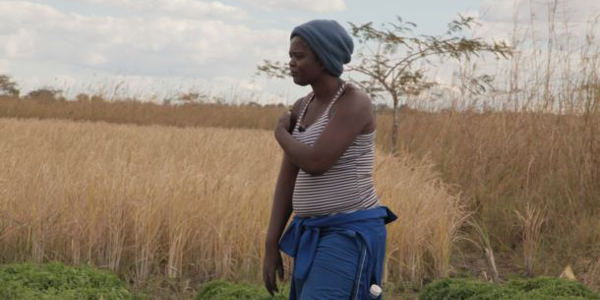 Rose Chisowa inspecting her nursery of tomatoes at her garden. (L. Masina/VOA)