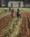 Africa needs to increase its productivity to feed itself, says agribusiness boss egypt_africa200x240