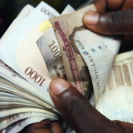 Naira notes_260 Naira notes