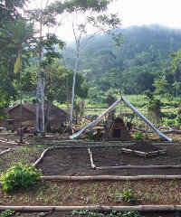 Legend's Eseka camp in Cameroon Legend's Eseka camp in Cameroon