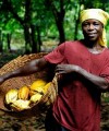 Six ways Africa can unlock its agricultural potential Large-scale agriculture operations should recognise the interests of small-scale farmers.