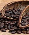 The imperative of Africa’s economic diversification cocoa_beans200x240