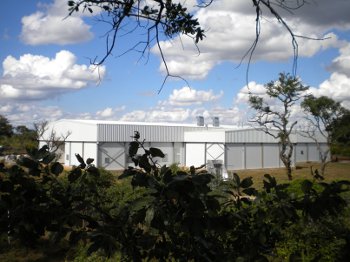 Astral Foods' TIGERChicks hatchery in Zambia Astral Foods' TIGERChicks hatchery in Zambia