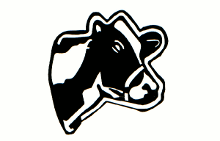 koeikop