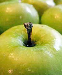 Apples Apples