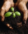 Enough capital for African farming, but investors want viable entrepreneurs csa200x240