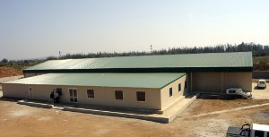 MGC was involved in the design and project management for this chicken abattoir in Mauritius. MGC was involved in the design and project management for this chicken abattoir in Mauritius.