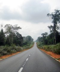According to the AfDB, asphalted roads represent less than 20% of Central Africa's entire regional road network. According to the AfDB, asphalted roads represent less than 20% of Central Africa's entire regional road network.