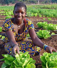 Irrigation Irrigation