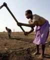 Africa – the top target for foreign investment in farmland land_grab200x240
