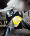 Improving the quality of Rwanda’s milk, while turning a profit Kivu Dairy200x240