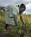Top 10 list of most gender equal countries in Africa A southern Sudanese women working in the fields of an cooperative farming project.