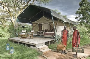 A guest tent at one of Gamewatchers Safaris's camps nearby the Maasai Mara National Reserve. A guest tent at one of Gamewatchers Safaris's camps nearby the Maasai Mara National Reserve.