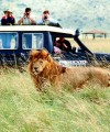 Increased emerging market tourism to Africa driving new travel demands According to Sven Richter, the value of Africa's tourist trade should have the potential to be around US$400 billion.