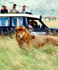 According to Sven Richter, the value of Africa's tourist trade should have the potential to be around US$400 billion. According to Sven Richter, the value of Africa's tourist trade should have the potential to be around US$400 billion.