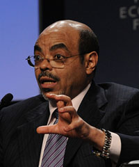 Meles 200x240