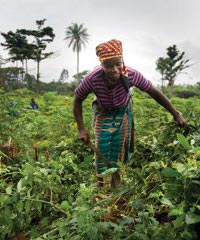 land-rights200x240