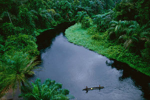 The Congo River300