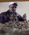 Five reasons why companies and small-scale farmers are not in business together Smallholders farmers and big companies often find it difficult to do business together.