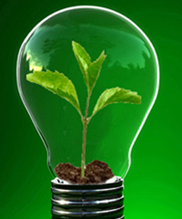 "With 2015 underway there are start-up accelerators of all shapes and sizes springing up across the continent. All that remains is for these programmes to find sustainable models for operations in African markets," writes Tom Jackson.