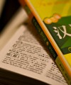 South Africa welcomes Chinese language and influence in schools South Africa will introduce Mandarin into its school curriculum.