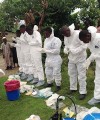 Ebola: 50% of multinationals have no policy to deal with pandemics WHO200x240