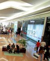Reasons to be upbeat about retail in Egypt The Mall of Arabia in Cairo