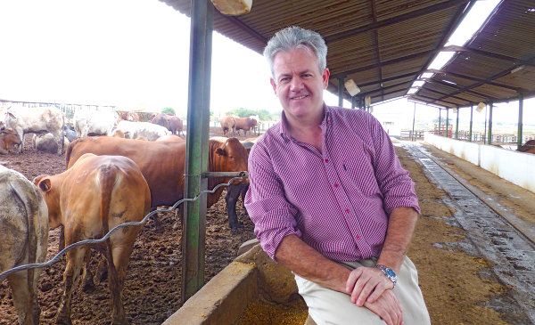 Francis Grogan is the co-founder and CEO of Zambeef, a US$300m-plus business with operations in Zambia, Nigeria and Ghana.