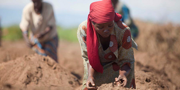 "If you look at rice, beans, potatoes, almost everything, we are just not producing enough to meet the demand across the country. We are still importing quite a bit of food and therefore there are all these opportunities for investors," says Moses