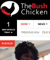Lessons learnt starting a media company in Liberia BushChicken 200x240