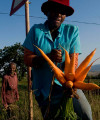 Assessing the state of South Africa’s agriculture sector Agriculture woman carrots 200x240