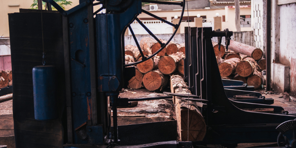 Timber 600x300