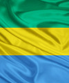 Frontier country report: Gabon’s economy slowly diversifying Gabon flag 2 200x240