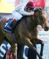 Event sponsorship: How to build brand value Investec Derby - Derby Day 2014