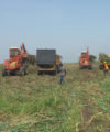 Nigeria: The next chapter? Photo: Federal Ministry of Agriculture and Rural Development, Nigeria