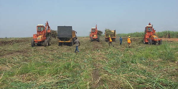 Photo: Federal Ministry of Agriculture and Rural Development, Nigeria